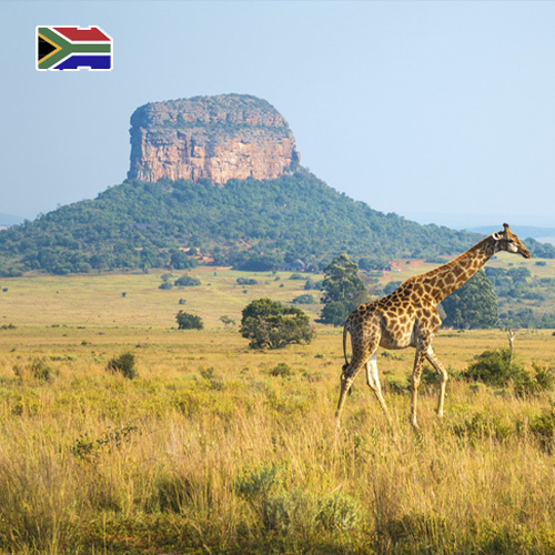 Daten-SIM-Karte Südafrika 3 GB (15 Tage)