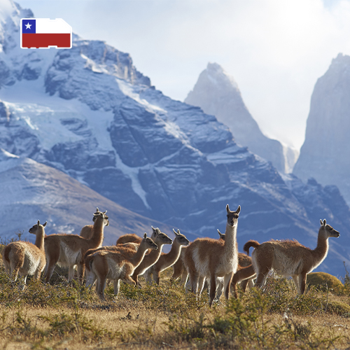 Daten-SIM-Karte Chile 3GB (15 Tage)