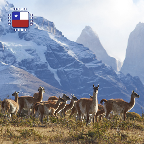 Chile unbegrenzt aufladen (30 Tage)