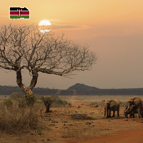 [WW_901O_STACK_ONEOFF_KENYA_1GB_7D] Daten-SIM-Karte Kenia 1 GB (7 Tage)