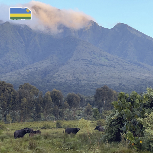 [WW_901O_STACK_ONEOFF_RWANDA_10GB_30D] Ruanda 10 GB aufladen (30 Tage)