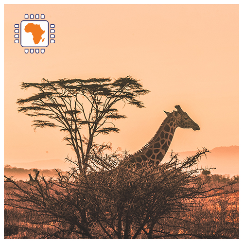 [WW_901O_STACK_ONEOFF_AFRICA2_3GB_15D] Afrika 3 GB aufladen (15 Tage)