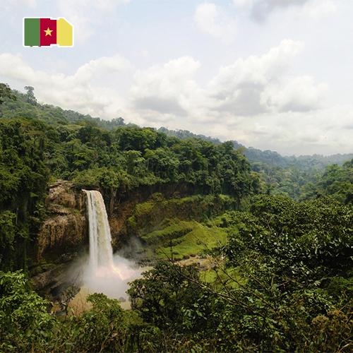 [WW_901O_STACK_ONEOFF_CAMEROON_3GB_15D] Daten-SIM-Karte Kamerun 3GB (15 Tage)